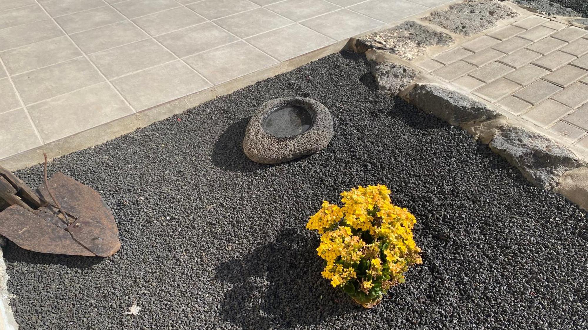 Mardelava Villa Tinajo Dış mekan fotoğraf